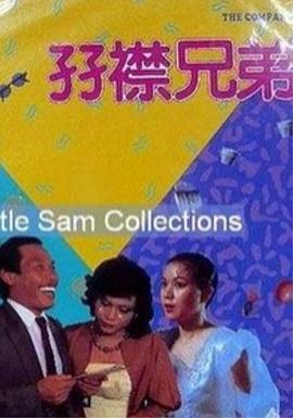 精品一区二区久久久久久久网站