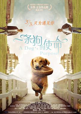 日韩在线无毛